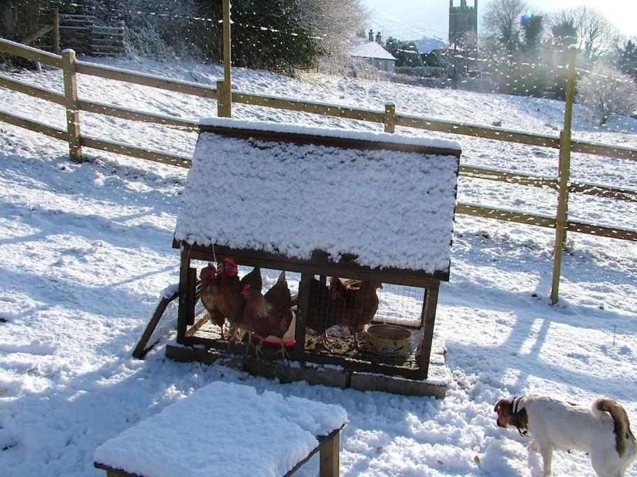 Homer Barn Tavistock  Buitenkant foto